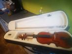 Viool, Muziek en Instrumenten, Ophalen, Viool