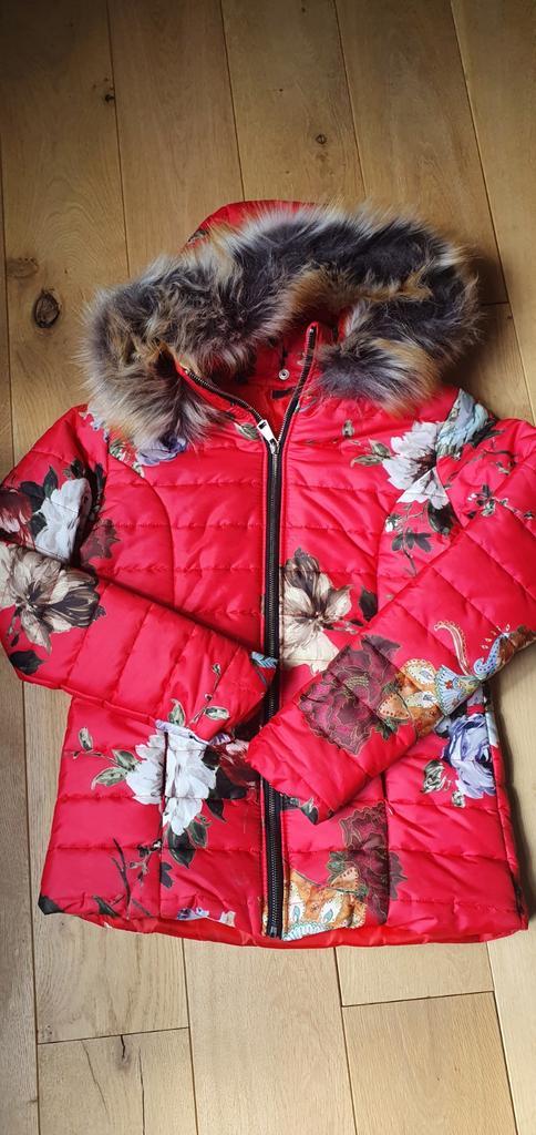 Prachtig tussenseizoen donsjasje maat XS, Kleding | Dames, Jassen | Zomer, Zo goed als nieuw, Maat 34 (XS) of kleiner, Rood, Ophalen of Verzenden