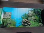 Achtergrond aquarium/terrarium, Dieren en Toebehoren, Ophalen, Gebruikt