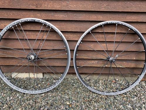 Campagnolo Shamal met Shimano body, Fietsen en Brommers, Fietsonderdelen, Gebruikt, Racefiets, Wiel, Ophalen