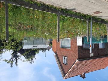Huis uit de hand koop in zedelgem petruis vanhaverbeke str 