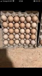 Broedeieren poule de bresse, Dieren en Toebehoren, Ophalen, Broedmachine