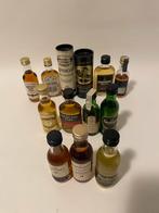 Whisky miniaturen 13 stuks, Verzamelen, Ophalen of Verzenden, Zo goed als nieuw