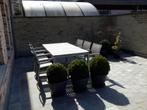 Tuintafel + 8 stoelen, Jardin & Terrasse, Accessoires mobilier de jardin, Enlèvement, Utilisé