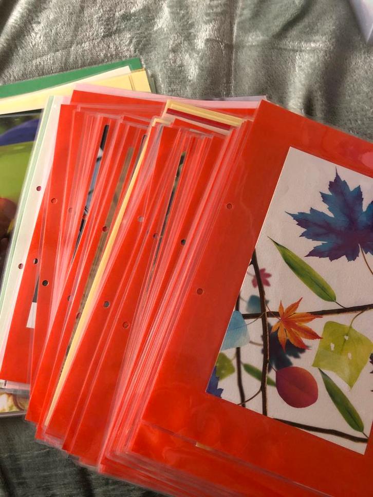 Gelamineerde prenten A4, Diversen, Papierwaren, Ophalen