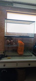 Gerbilarium voor gerbils, hamsters, muizen, Ophalen, Kooi, Gebruikt, 75 tot 110 cm