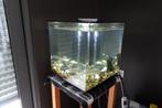Biorb Cube 60l, Dieren en Toebehoren, Ophalen, Zo goed als nieuw, Leeg aquarium