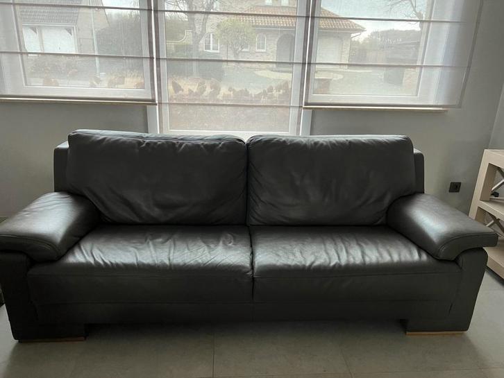 Lederen zetels, Huis en Inrichting, Zetels | Zetels, Gebruikt, Rechte bank, Driepersoons, 200 tot 250 cm, Minder dan 75 cm, Leer