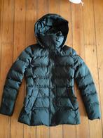 Doudoune Tomy Hilfiger, Ophalen of Verzenden, Zo goed als nieuw, Blauw