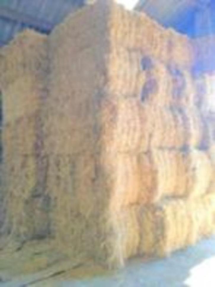 grote rechthoekige balen droog hooi ~120/70/180, Dieren en Toebehoren, Dierenvoeding, Ophalen of Verzenden