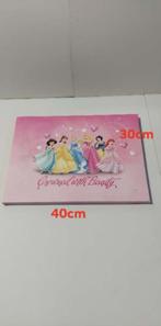 Canvas wanddecoratie Prinses 35/40 - 1.50€, Ophalen of Verzenden, Zo goed als nieuw, Wanddecoratie