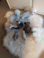 Verkoop van mijn collectie pooldieren., Ophalen of Verzenden, Zo goed als nieuw