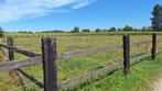 landboiw, Dieren en Toebehoren, Stalling en Weidegang, Weidegang, 2 of 3 paarden of pony's