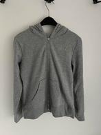 Trui met rits en kap Hema maat s, Enlèvement ou Envoi, Comme neuf, Taille 36 (S)