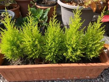 tuin en terras beschikbaar voor biedingen