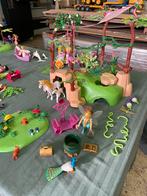 Playmobil Fairies 6 sets, Kinderen en Baby's, Speelgoed | Playmobil, Ophalen, Complete set