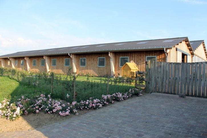 stalling, Dieren en Toebehoren, Stalling en Weidegang, Stalling, Weidegang