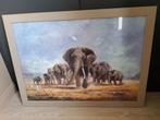 Tableau éléphants  77/57 cm, Gebruikt, Ophalen