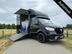 Mercedes-Benz Sprinter 315 AMG 2-paards paardenvrachtwagen B, Dieren en Toebehoren, Zo goed als nieuw, Overige typen