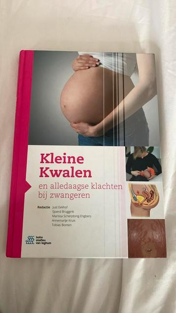 Kleine Kwalen en alledaagse klachten bij zwangeren beschikbaar voor biedingen