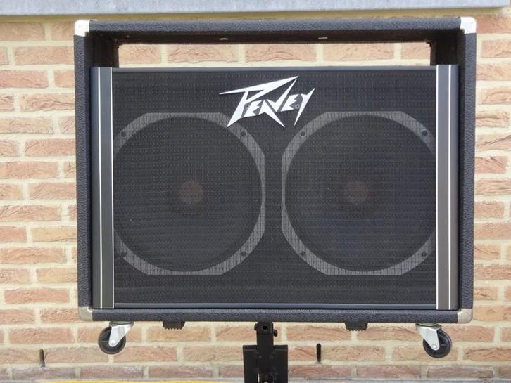 Peavey Renown 2 x 12 cabinet, Muziek en Instrumenten, Versterkers | Bas en Gitaar, 100 watt of meer, Ophalen