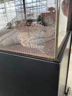 Tuin of terrashaard Faber, Tuin en Terras, Tuinhaarden, Ophalen, Zo goed als nieuw