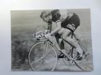 repro wielerfoto  1977 team flandria  freddy maertens, Zo goed als nieuw, Verzenden