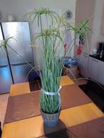 Vaas met kunstbloemen, Huis en Inrichting, Kamerplanten, Ophalen