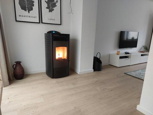 Pelletkachel onderhoud alle merken, Huis en Inrichting, Kachels, Zo goed als nieuw, Pelletkachel, Ophalen