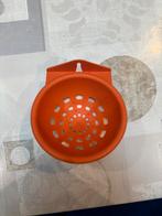 Nid pour canari, Enlèvement