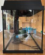Aquarium Juwel 110 te koop, Ophalen, Zo goed als nieuw