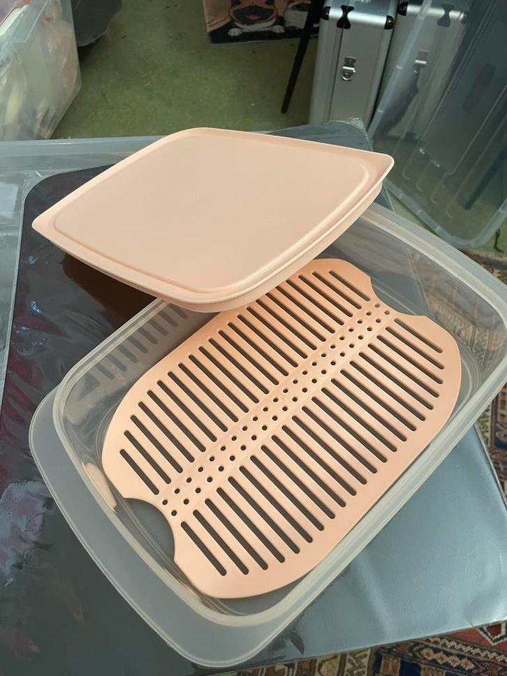 Boîte à charcuterie Tupperware, Maison & Meubles, Cuisine| Tupperware, Neuf, Boîte, Blanc, Orange, Enlèvement ou Envoi