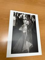 Foto Patrick De Spiegelaere, Boeken, Kunst en Cultuur | Fotografie en Design, Ophalen of Verzenden, Nieuw