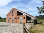 Paardenweide met stalling TE HUUR in Geluwe, Dieren en Toebehoren, Stalling en Weidegang, Weidegang, 2 of 3 paarden of pony's