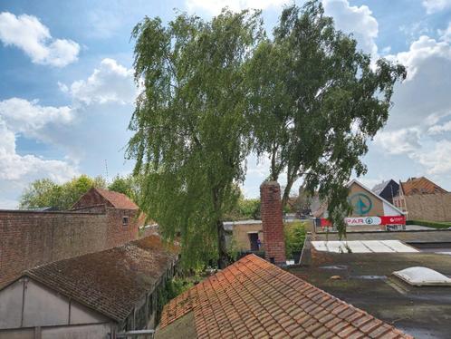 GRATIS offerte, Tuin en Terras, Overige Tuin en Terras, Nieuw, Ophalen