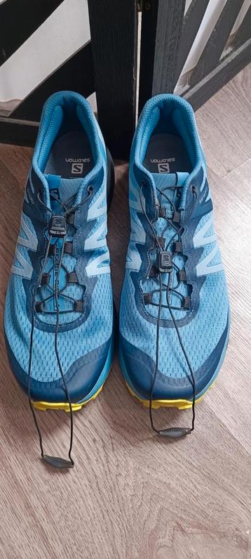 Salomon Sense Ride 4 - Blauw - 45 1/3