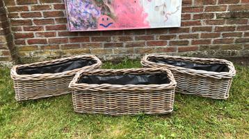 Rieten bloemmanden beschikbaar voor biedingen