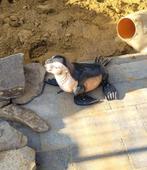Spuitfiguur zeehond, Tuin en Terras, Ophalen of Verzenden, Zo goed als nieuw, Overige materialen, Fontein