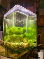 Aquarium Cube 20 litres, Animaux & Accessoires, Comme neuf, Enlèvement ou Envoi