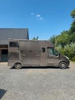 Te koop: Renault Master Paardenvrachtwagen, Ophalen