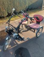 Van raam duofiets  Fun2Go ~ E-Bike, Fietsen en Brommers, Fietsen | Driewielfietsen, Ophalen