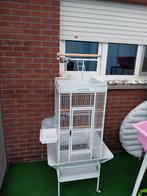 papegaai kooi, Dieren en Toebehoren, Ophalen, Gebruikt, Metaal