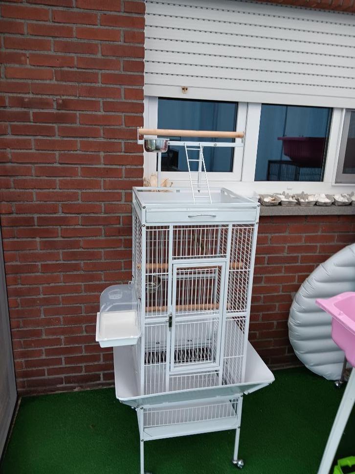 papegaai kooi, Dieren en Toebehoren, Vogels | Hokken en Kooien, Gebruikt, Metaal, Ophalen