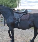 Nieuw Barefoot zadel drytex, Dieren en Toebehoren, Paarden en Pony's | Zadels, Ophalen of Verzenden