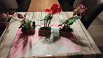 3 kunstplanten, Huis en Inrichting, Ophalen of Verzenden, Gebruikt, Binnen