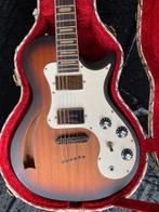 holle in case (ruil/koop?), Musique & Instruments, Instruments à corde | Guitares | Électriques, Enlèvement ou Envoi, Utilisé