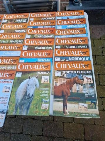 LOT revues et chevaux miniatures., Hobby & Loisirs créatifs, Modélisme | Autre, Enlèvement ou Envoi, Comme neuf