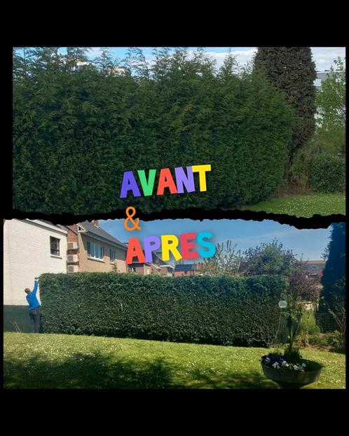 Jardinier devis gratuit, Tuin en Terras, Gras en Kunstgras, Ophalen of Verzenden