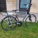 Elektrische fiets Trek, Fietsen en Brommers, Ophalen