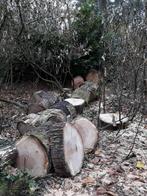 Hout eik, Tuin en Terras, 3 tot 6 m³, Ophalen, Eikenhout, Stammen